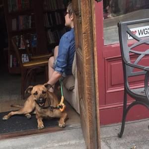 Meet your Posher, Annie